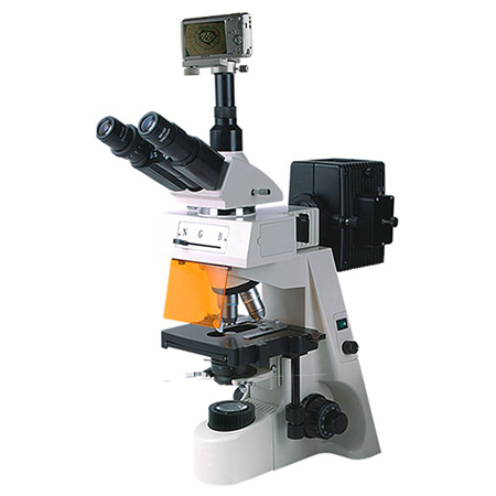 BM-19AYS熒光顯微鏡（數碼、落射）